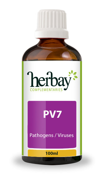 PV7
