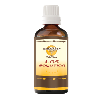 LBS Solution
